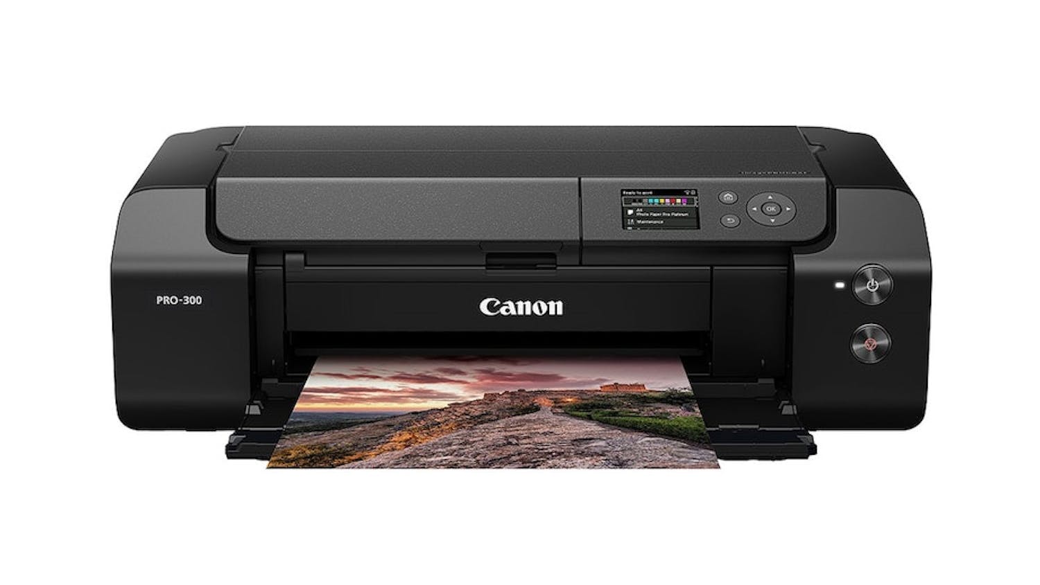 Skärpan är utmärkt från denna fotoskrivare, men färgåtergivningen har inte riktigt samma precision. Skärpan är utmärkt från denna fotoskrivare, men färgåtergivningen har inte riktigt samma precision.